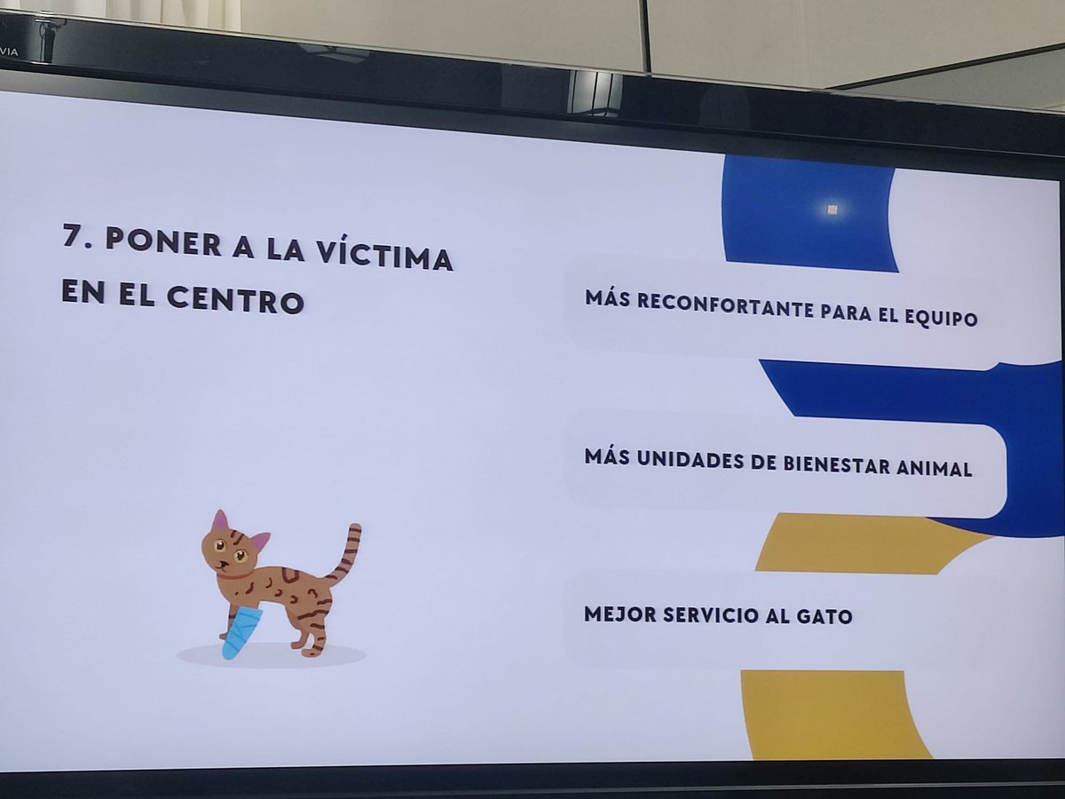 enGatadas_AB's tweet photo. Si ponemos a la víctima en el centro generamos más bienestar animal y concienciación (Alejandra Mier) de @ProtectoraAstur 
#haCERhistoria en el Foro Parlamentario Felino #Sevilla https://t.co/Vm22F2El4M