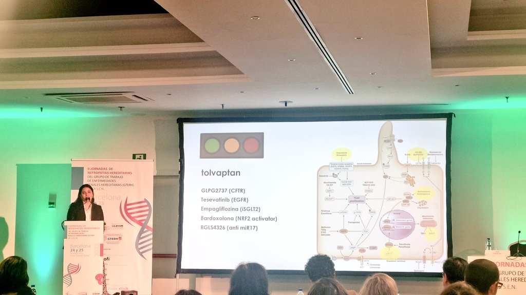 Excelente presentación! Estado actual del tratamiento de la poliquistosis renal por <a href="/perezgomezmv/">María Vanessa Pérez</a> en las Jornadas de Nefropatías Hereditarias.
<a href="/SENefrologia/">S.E.N. Nefrología</a>
