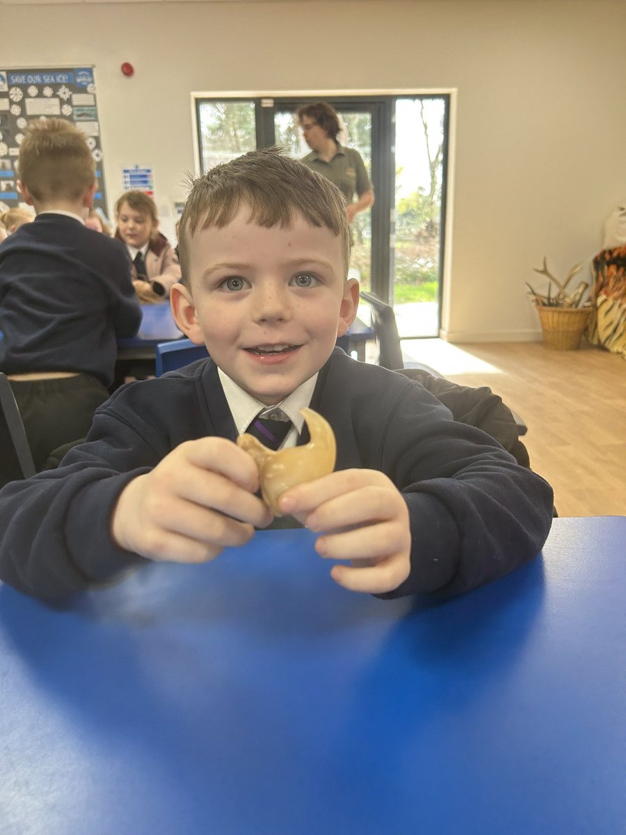 Y1_TheMill's tweet photo. A lovely workshop about habitats and adaptation @YorkshireWP #themillscience https://t.co/w5z6zaZWpW