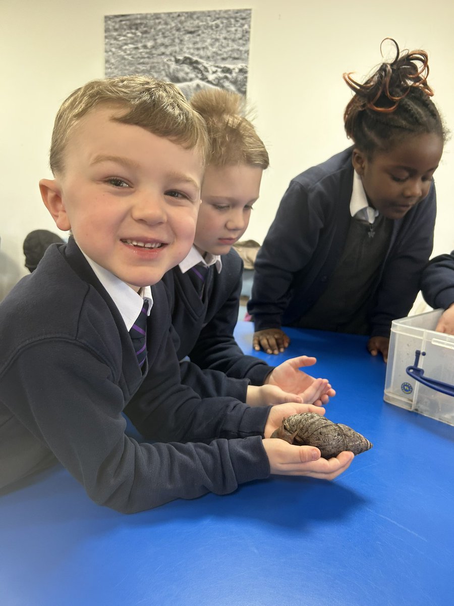 Y1_TheMill's tweet photo. A lovely workshop about habitats and adaptation @YorkshireWP #themillscience https://t.co/w5z6zaZWpW