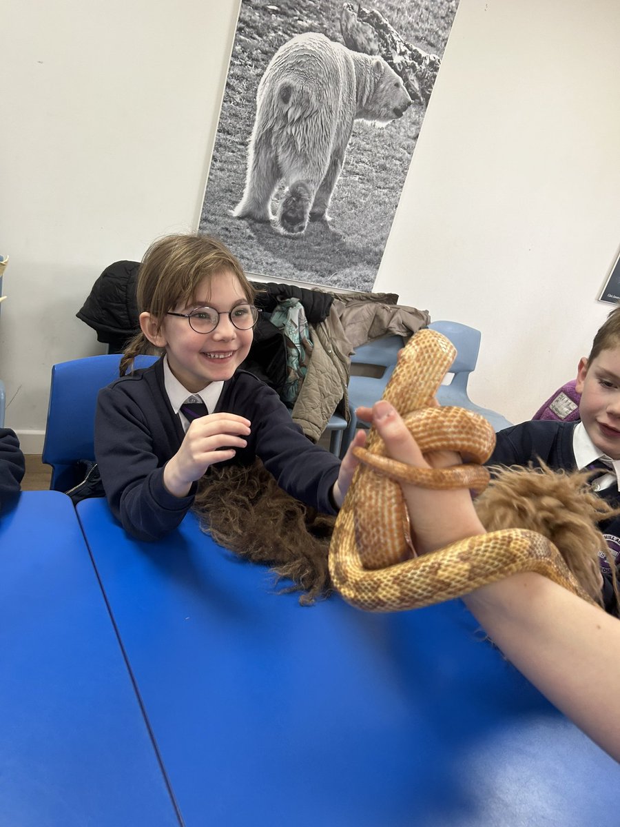 Y1_TheMill's tweet photo. A lovely workshop about habitats and adaptation @YorkshireWP #themillscience https://t.co/w5z6zaZWpW