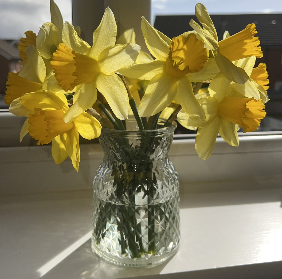 Happy Friday 🌼🌞