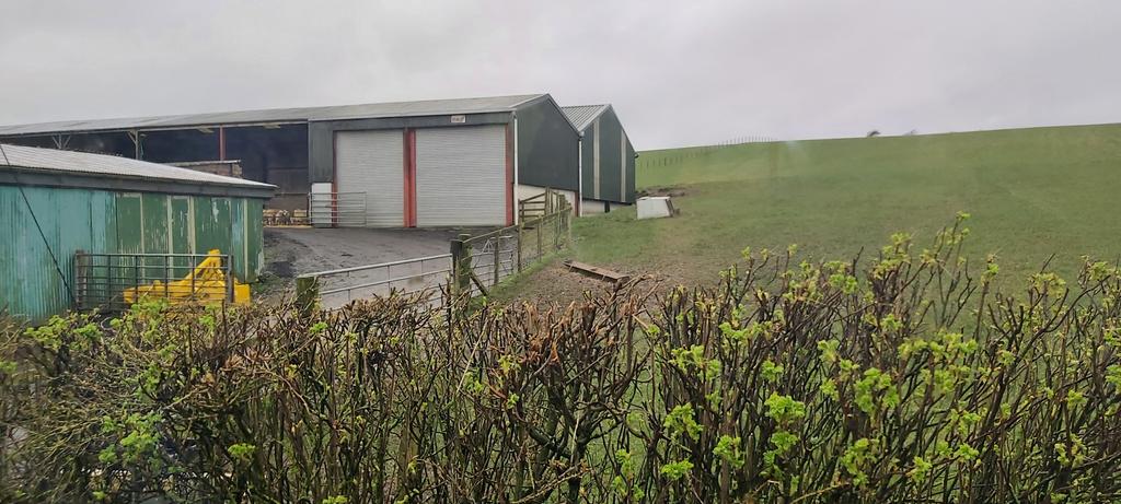 _MrsFair's tweet photo. Farm trip with P1/2/3 today! Woohoo! #studentteacher #placementfun @abdnpgdeprimary https://t.co/WXMFQ8GDwL