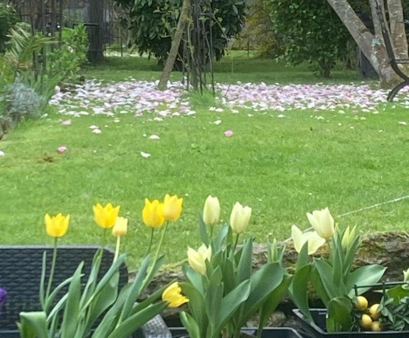 아직은 봄이라 하자.