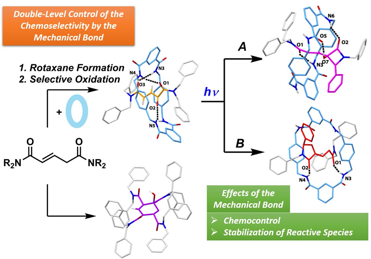 SOC-UMU Lab (@socumu_lab) on Twitter photo Interested on the mechanical bond-controlled chemoselective processes? Have a look of our latest #openaccess article in <a href="/angew_chem/">Angewandte Chemie</a>. A terrific work by Jesus M Perez <a href="/amcuezva/">Alberto Martínez-Cuezva</a> <a href="/alajamat/">Mateo Alajarín</a> <a href="/jbernicano/">J Berna</a>📢Thanks to <a href="/research_um/">Research-UMU</a> <a href="/UMU/">Universidad Murcia</a> <a href="/AgEInves/">Agencia Estatal de Investigación</a> <a href="/FundacionSeneca/">Fundación Séneca</a>👉bit.ly/42ApMiR Interested on the mechanical bond-controlled chemoselective processes? Have a look of our latest #openaccess article in <a href="/angew_chem/">Angewandte Chemie</a>. A terrific work by Jesus M Perez <a href="/amcuezva/">Alberto Martínez-Cuezva</a> <a href="/alajamat/">Mateo Alajarín</a> <a href="/jbernicano/">J Berna</a>📢Thanks to <a href="/research_um/">Research-UMU</a> <a href="/UMU/">Universidad Murcia</a> <a href="/AgEInves/">Agencia Estatal de Investigación</a> <a href="/FundacionSeneca/">Fundación Séneca</a>👉bit.ly/42ApMiR