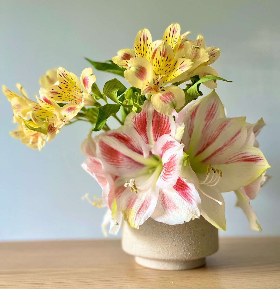 auque_vong's tweet photo. Vos compositions à la demande pour ensoleiller votre week end cocooning, votre artisan fleuriste est là pour vous et vos proches. #30ruedecléry75002paris #auqueetvongparis #artisanfleuristeparisien #compositionflorale #fleursdesaison https://t.co/RMlEAnMGVz