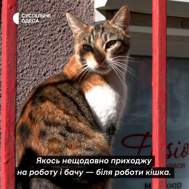 suspilne_out's tweet photo. #суспільне #одеса https://t.co/CcW7mRC662