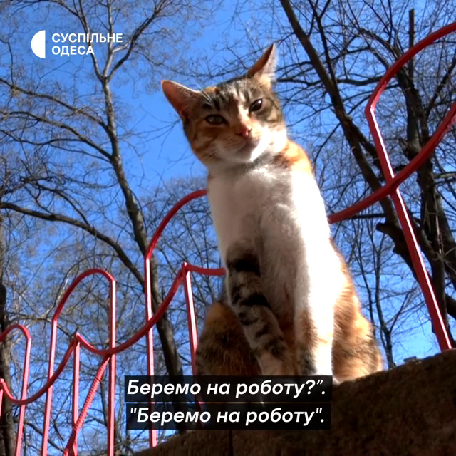 suspilne_out's tweet photo. #суспільне #одеса https://t.co/CcW7mRC662