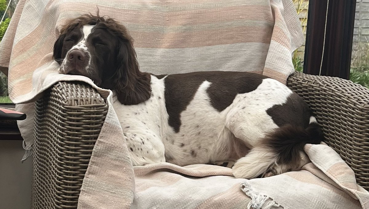Helen Elliott tweet media