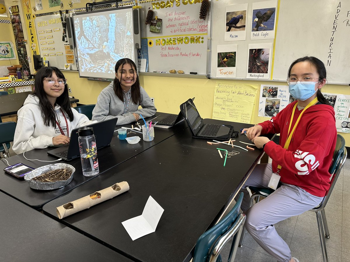 Wendy Wansor tweet media