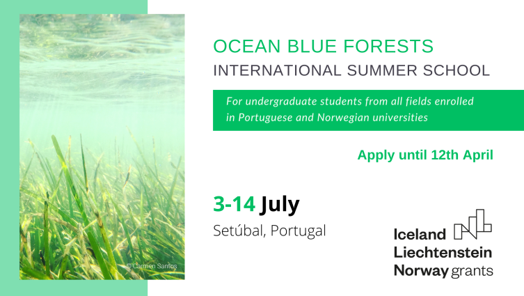 🌊🌿🌍 Dive into the fascinating world of #BlueForests #OceanAlive, @CienciasDoMar & @GRIDArendal! 🐟🌊 Expand knowledge & skills at International Summer School. If you're a uni student in Norway or Portugal, apply now! #SaveOurSeas #MarineConservation 🐠