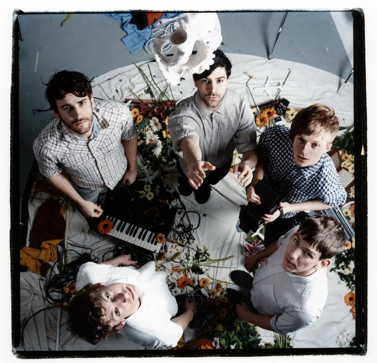 foals tweet picture