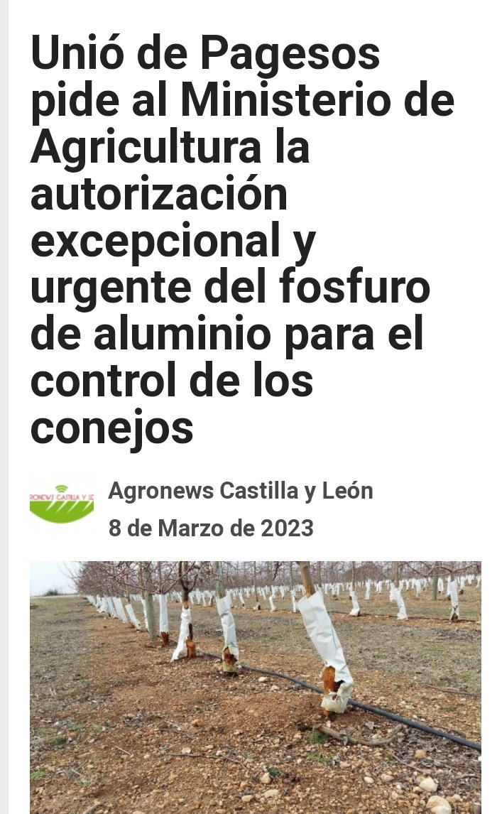 EcoloxistasSaMo's tweet photo. Señores @facua e @consumidores tanto en @jcyl como o @govern autorizan a utilización de #FosfurodeAluminio para eliminar aos #coellos. Este produto é extremadamente tóxico e envenena terreos, augas subterraneas, animais, cultivos. Quen defende aos consumidores?
#Pagesosoconills https://t.co/zWbzl54rxK