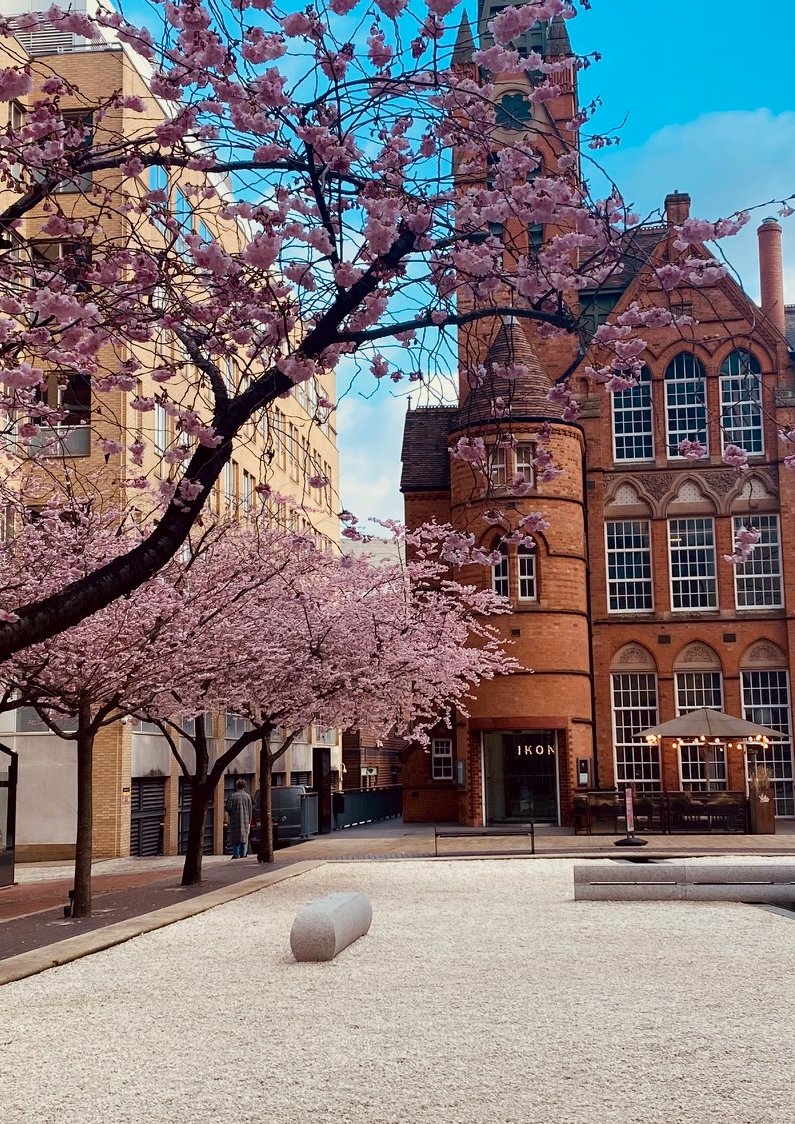 nationaltrust's tweet photo. Birmingham’s been spotted looking pretty in pink by Rachael M this week.

Is blossom brightening up your local city centre? Share your photos with #BlossomWatch. https://t.co/6ey4Io0u8T