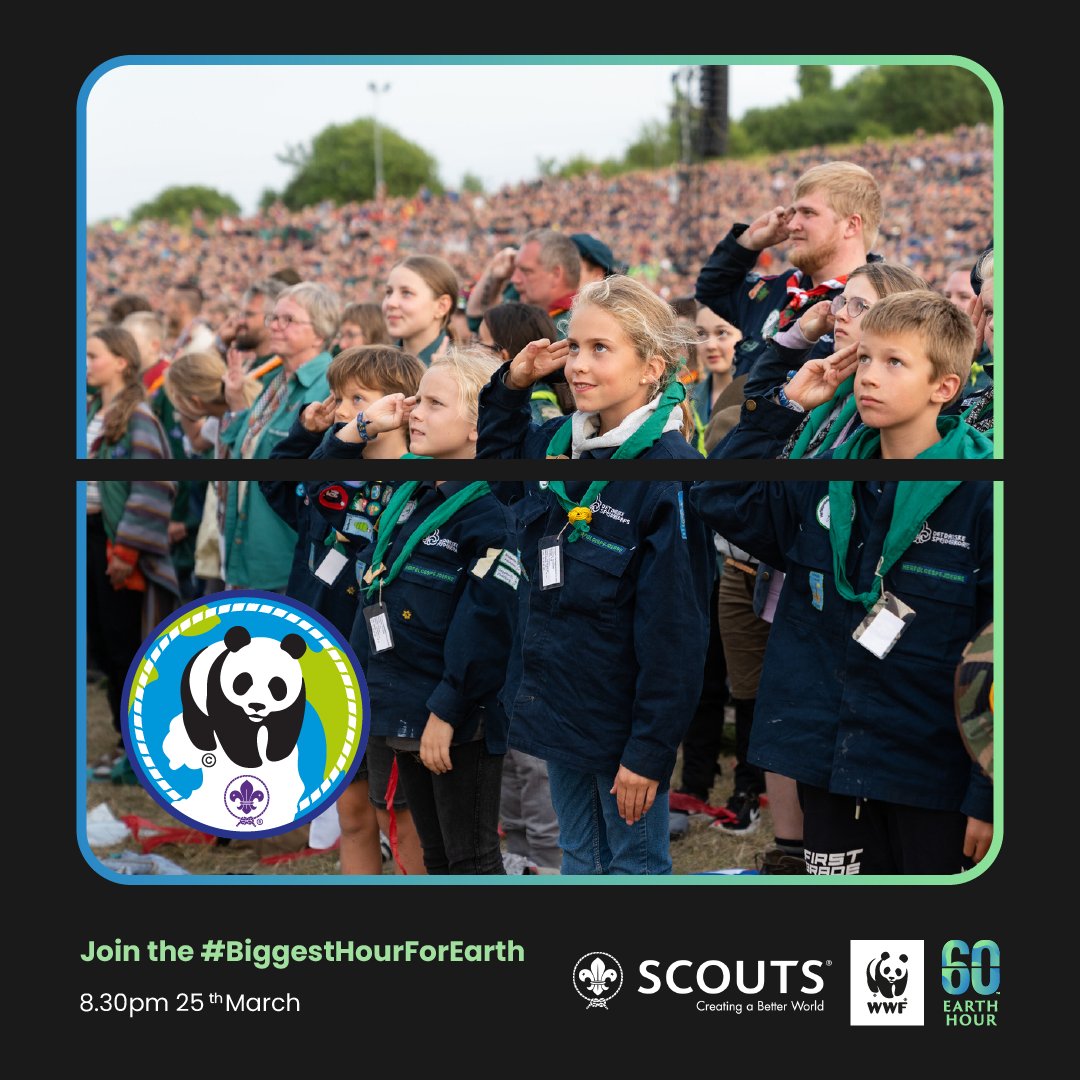 World Scouting tweet media