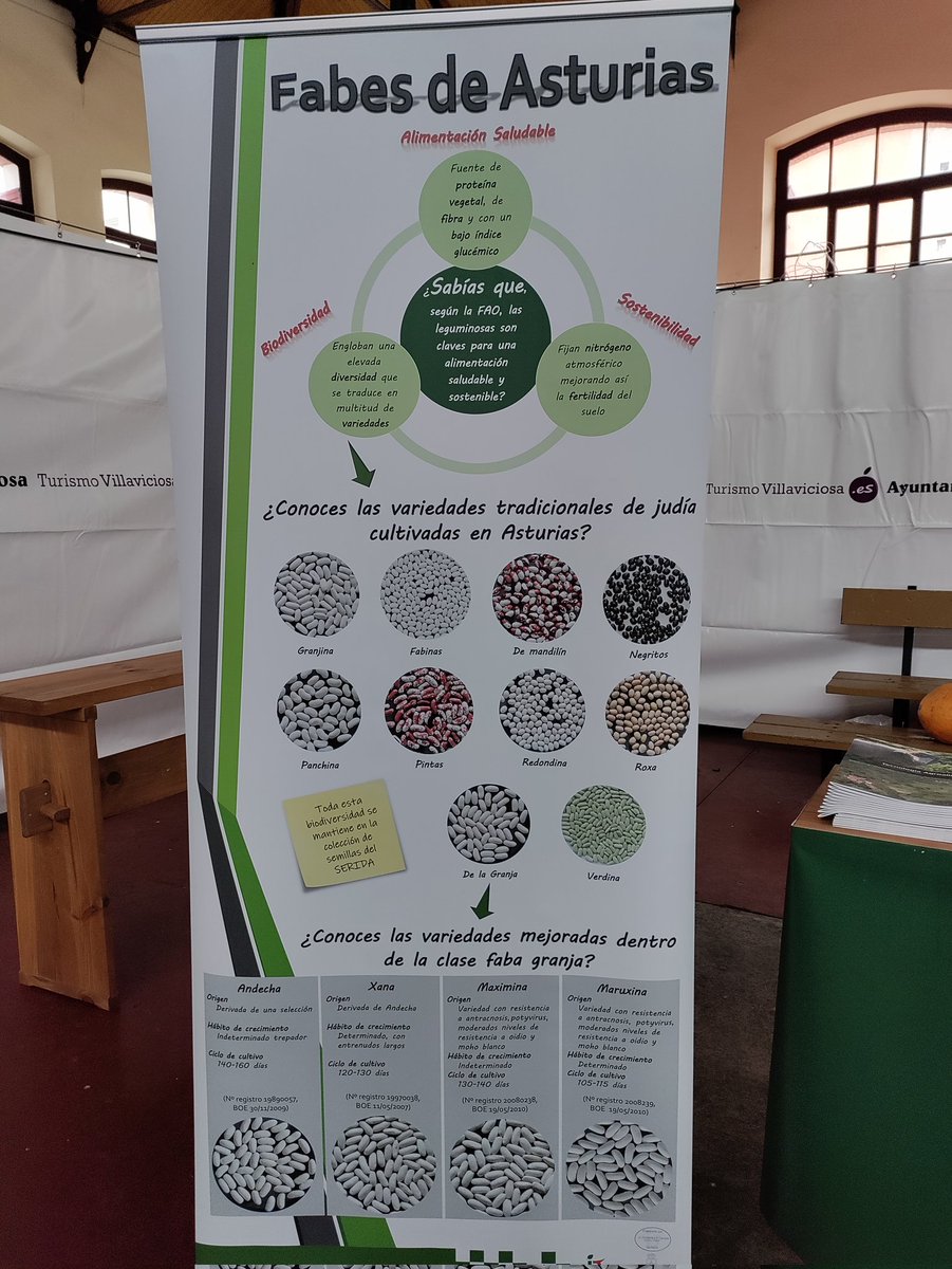 sendarural's tweet photo. Conoces las variedades de las Fabes de #Asturias? Cartel de @SeridaAst
Edición 29 Xornaes de les Fabes en #Villaviciosa hasta el domingo 26/03 https://t.co/aRYsd2Plpk