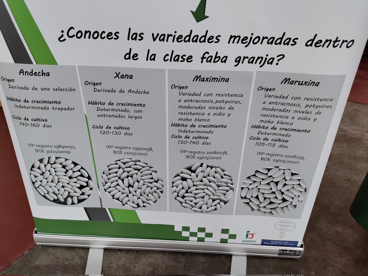 sendarural's tweet photo. Conoces las variedades de las Fabes de #Asturias? Cartel de @SeridaAst
Edición 29 Xornaes de les Fabes en #Villaviciosa hasta el domingo 26/03 https://t.co/aRYsd2Plpk