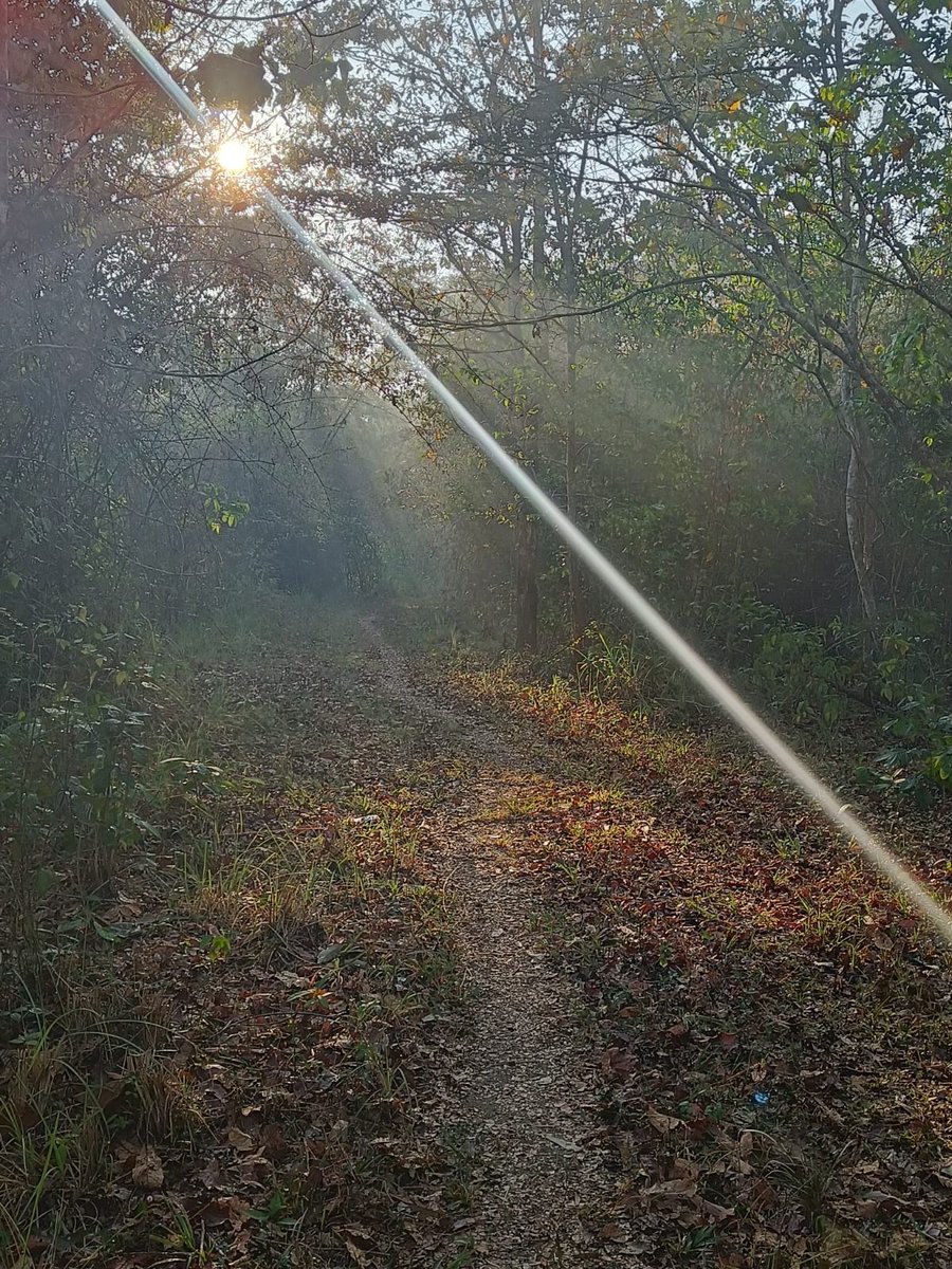 KeralaFDC's tweet photo. #arippa ecotourism of #kfdc
#Arippa
The virgin land of Arippa is located on the edge of Thiruvananthapuram-Shenkottai State Highway.
KFDC providing the opportunity to be one with nature in Arippa. Explore our ecotourism in Arippa.For more details contact 8289821015 https://t.co/wlTZEJCbDm