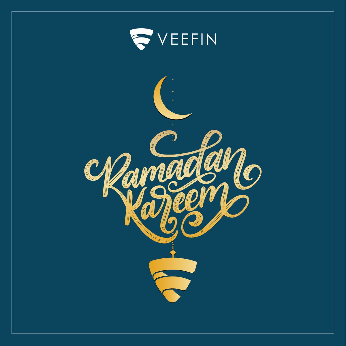 Veefin Solutions tweet media