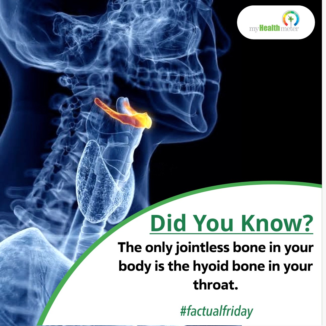 myHealthmeter's tweet image. Factual Fridays - Unlike other bones in the body, the hyoid bone is not attached to any other bone. Instead, it is suspended by muscles and ligaments, making it a unique structure.

 #HyoidBone #AnatomyFacts #BodyStructure #StayCurious #FactualFridays #healthfacts #funfacts