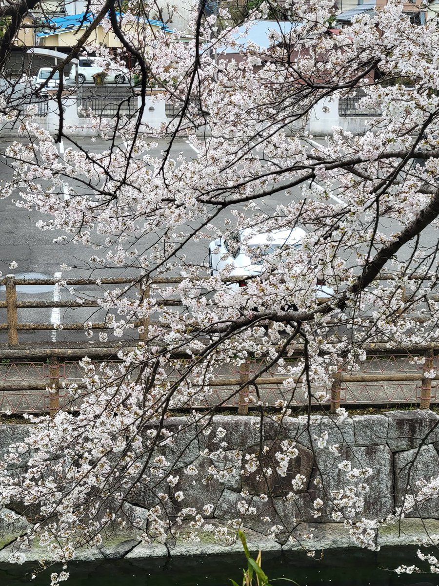 おひとりさま@趣味垢 tweet media