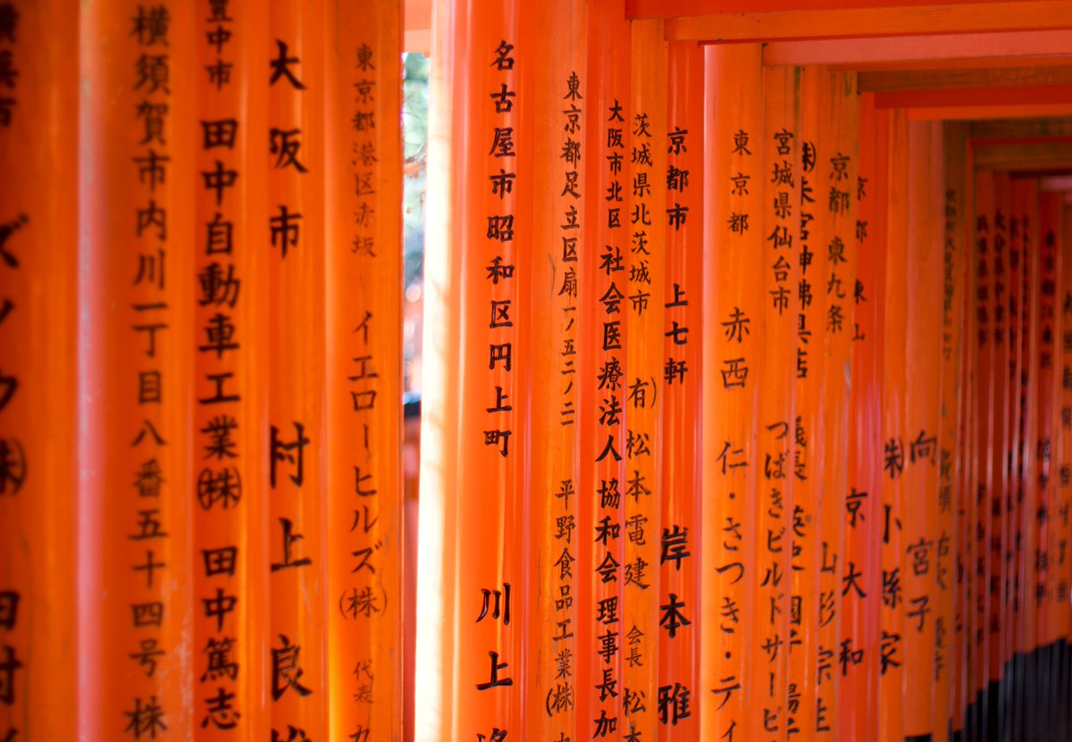OrryRobinson's tweet photo. Well, that was truly special. A very small selection of photos from the recent trip to Japan, including the Fushimi Inari-taisha torii gates, an early morning Shinkansen (bullet train), Tokyo Tower peeping through the cherry blossom and the Tōfuku-ji Temple, Kyoto. https://t.co/EWY0AbWEpM