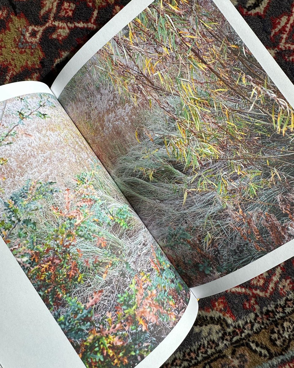 FreyaNajade's tweet photo. ***Along The Hackney Canal Giveaway *** 🔥

I am giving away one copy of ‘Along the Hackney Canal’ which has sold out a while ago.💙

In order to receive it:
1. Name the last photo book you bought 
2. Mention another person who could like the book
3. Follow @FreyaNajade https://t.co/avX2e0WsHf