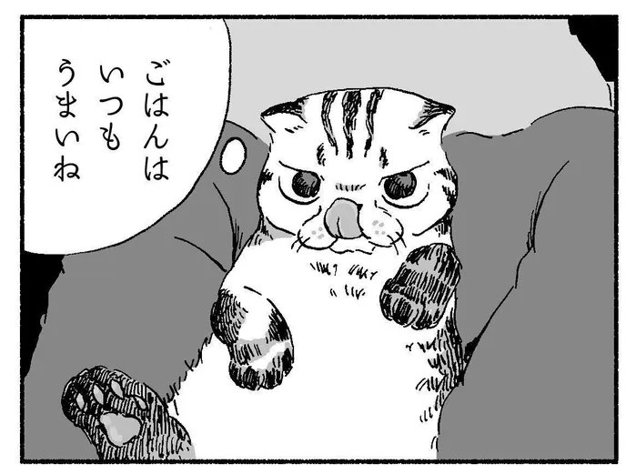 突然のぐったりに焦る飼い主。愛猫が膀胱炎になったお話ーその1ー【連載】渋ネコししまるさん#193|ねこのきもちWEB MAGAZINE https://t.co/78bvqltMMe 