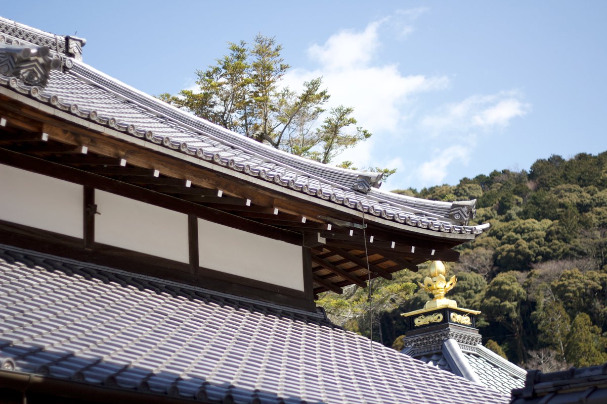 OrryRobinson's tweet photo. Well, that was truly special. A very small selection of photos from the recent trip to Japan, including the Fushimi Inari-taisha torii gates, an early morning Shinkansen (bullet train), Tokyo Tower peeping through the cherry blossom and the Tōfuku-ji Temple, Kyoto. https://t.co/EWY0AbWEpM