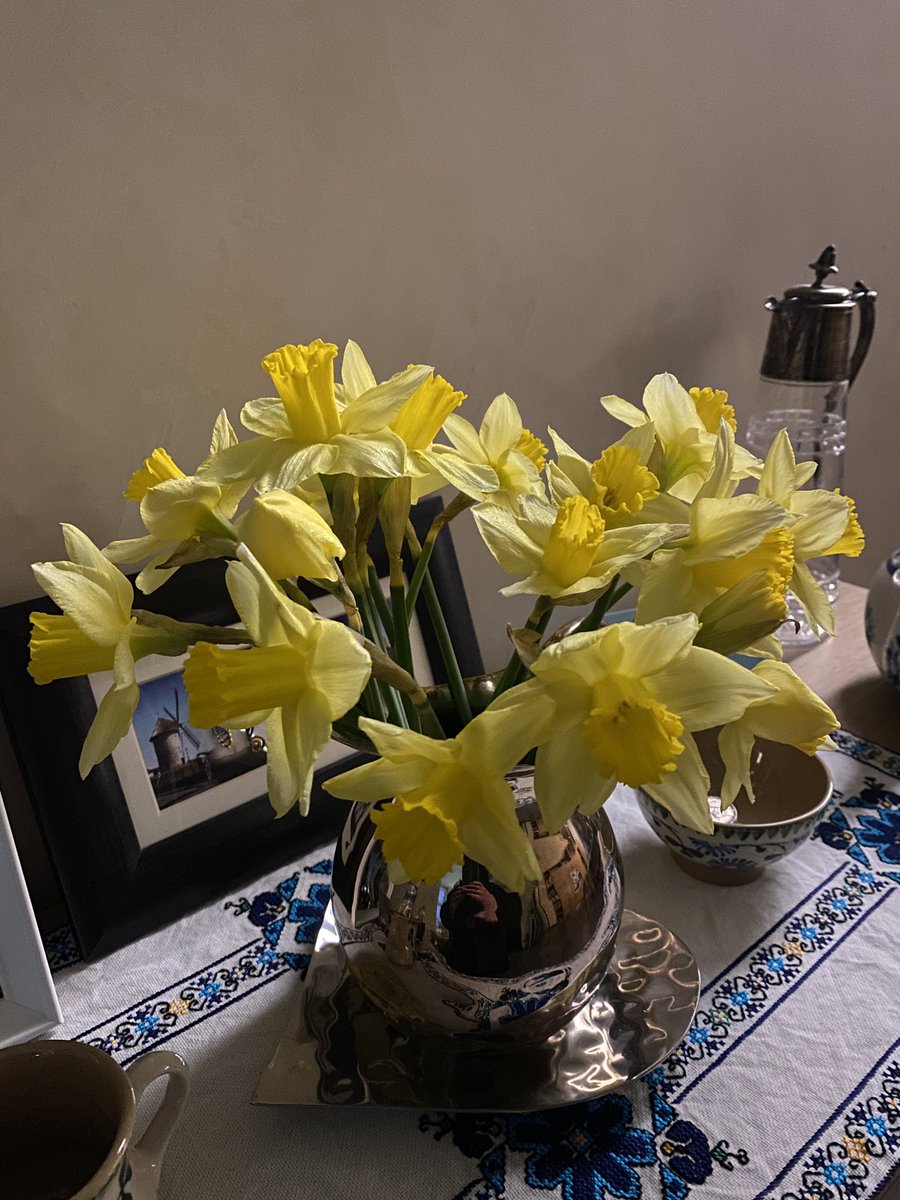 It’s #DaffodilDay in Ireland. 💛💛
Cancer has brought heartbreak to me, my family &amp; my close friends. 💛 All over Ireland people will be fundraising for the Irish Cancer Society which provides vital support for people with cancer &amp; their loved ones. 
cancer.ie/donate 💛