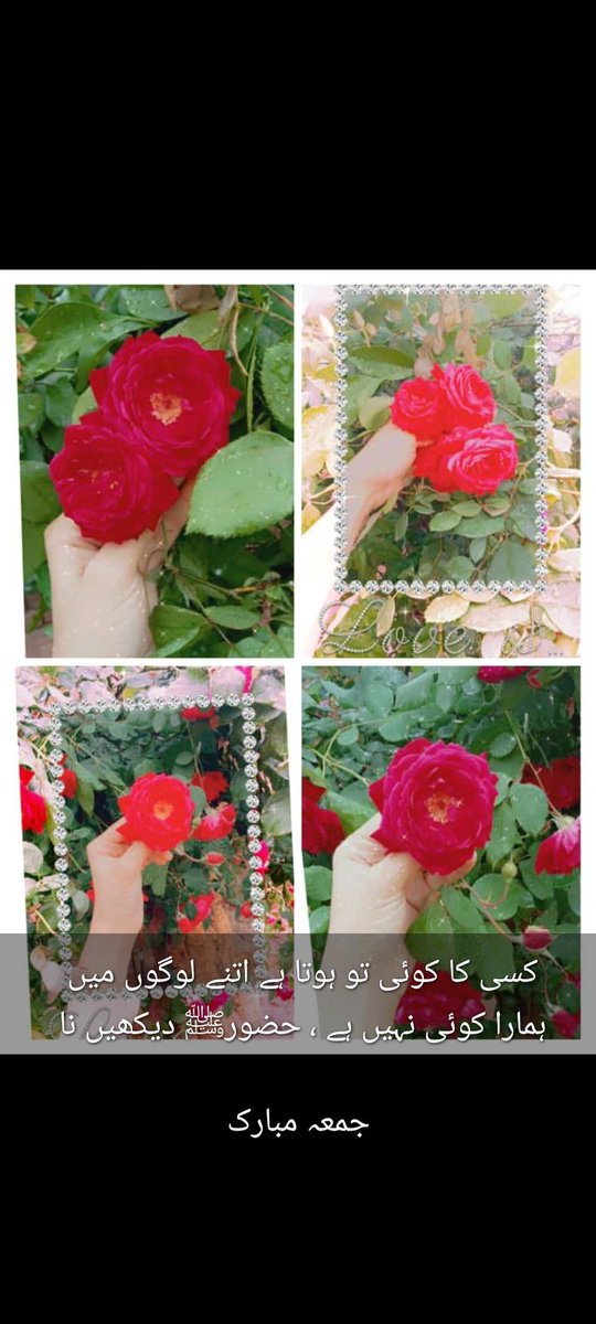 HinaMryam's tweet photo. https://t.co/H7SUDZKkfo