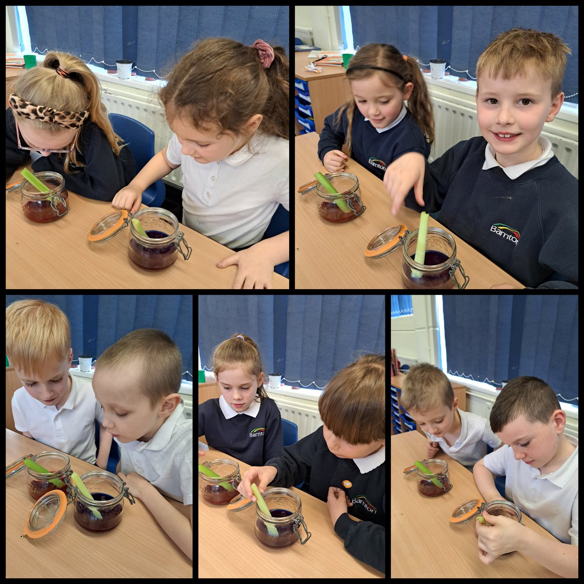 Y3 have been using their scientific knowledge to make predictions. @BarntonMrsJ <a href="/BarntonMissR/">Miss Rutter</a>