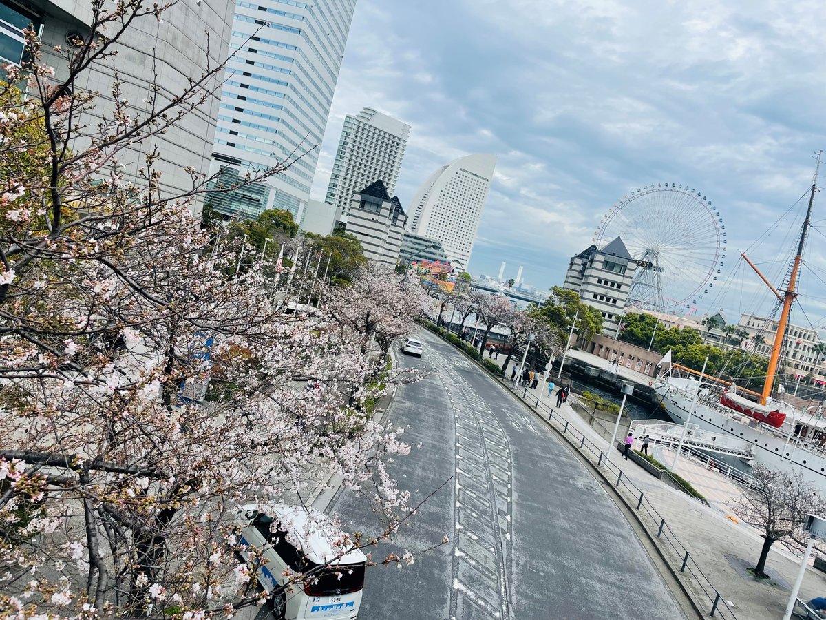 GrobJapan's tweet image. 先週は東京で桜の開花宣言が発表されましたね！
弊社のオフィス周辺のみなとみらい地区でも桜が咲き始めています🌸
#GROB #grobjapan #multiaxis #manufacturing #マシニング #5軸マシニングセンタ #機械加工 #工作機械 #フライス加工 #メカトロテックジャパン #桜 #開花宣言 #みなとみらい