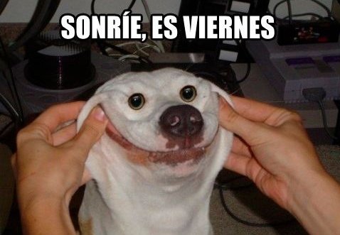 ¿Quién me dedica una buena sonrisa?