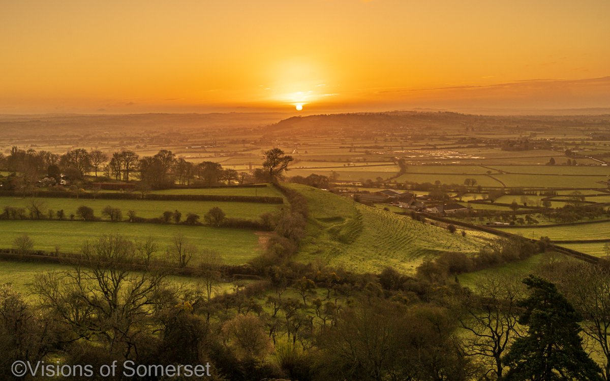 Michelle Cowbourne tweet media