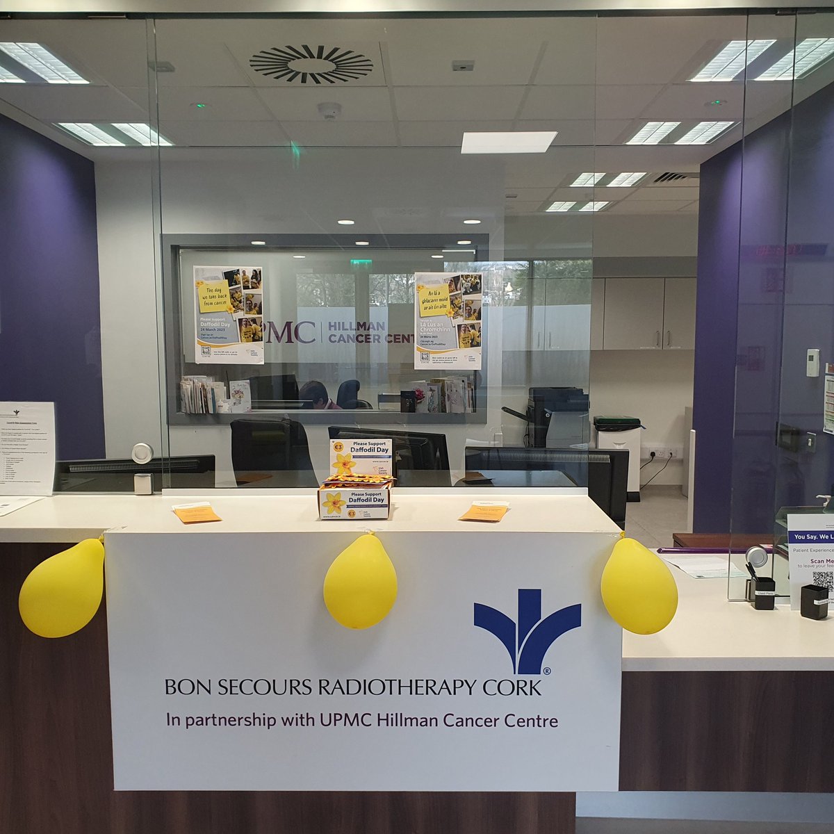 EricabennettRTT's tweet photo. Celebrating #DaffodilDay and the phenomenal work of the @IrishCancerSoc 💛 https://t.co/wdBRZIscsw