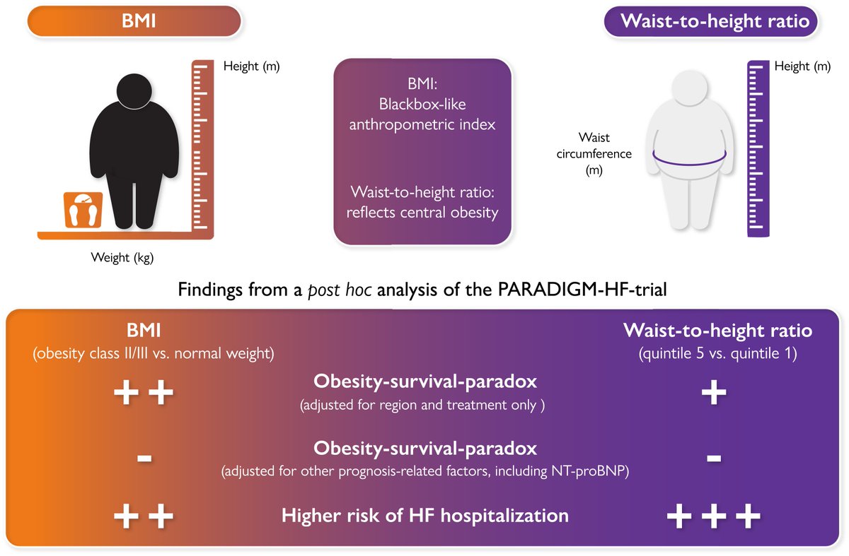 Obesity paradox in heart failure: recent data discussed in a new editorial paper. #obesity #BMI #heartfailure #HF #cardiotwitter @ESC_Journals @escardio ow.ly/IzNf50NpZK3