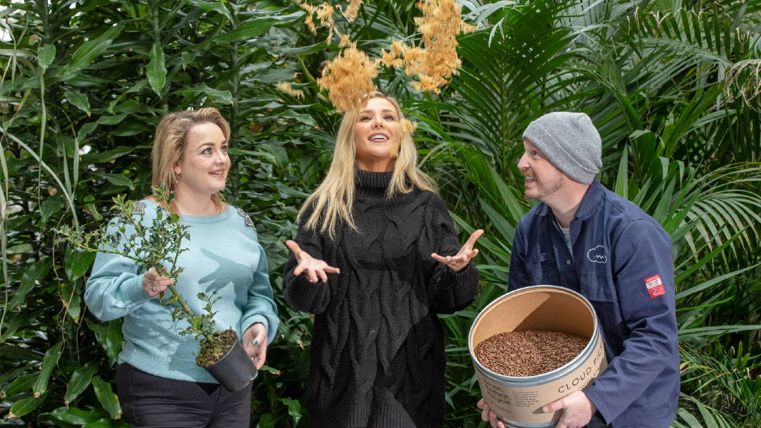 Coalesce tweet media