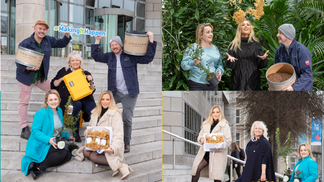 Coalesce tweet media