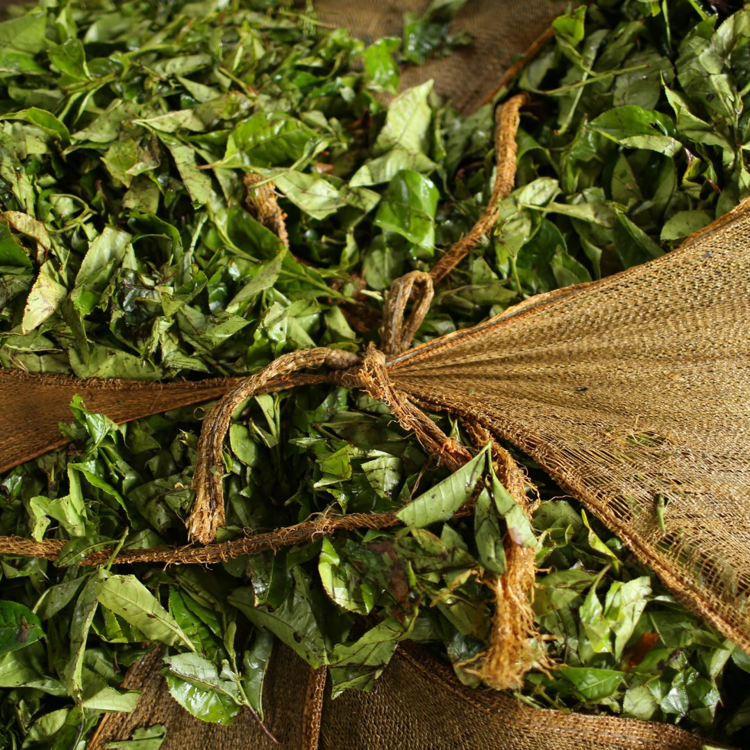 HujanLocale's tweet photo. We're proud to feature locally-sourced ingredients from the beautiful land of Indonesia, allowing us to serve up delicious meals while keeping sustainability top of mind. https://t.co/lp9zFNYWnr