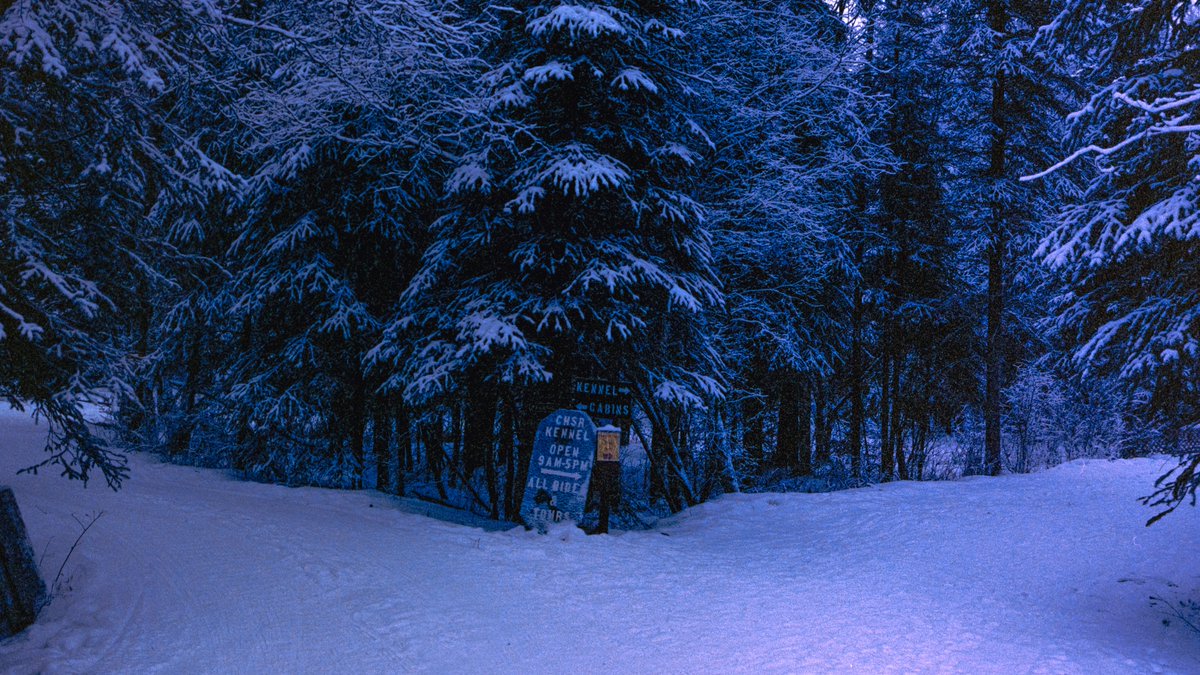 eamonsphotoss's tweet image. Winter in Alaska

captured on 35mm film