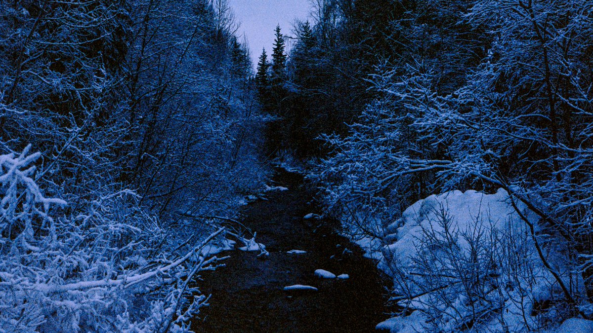 eamonsphotoss's tweet image. Winter in Alaska

captured on 35mm film