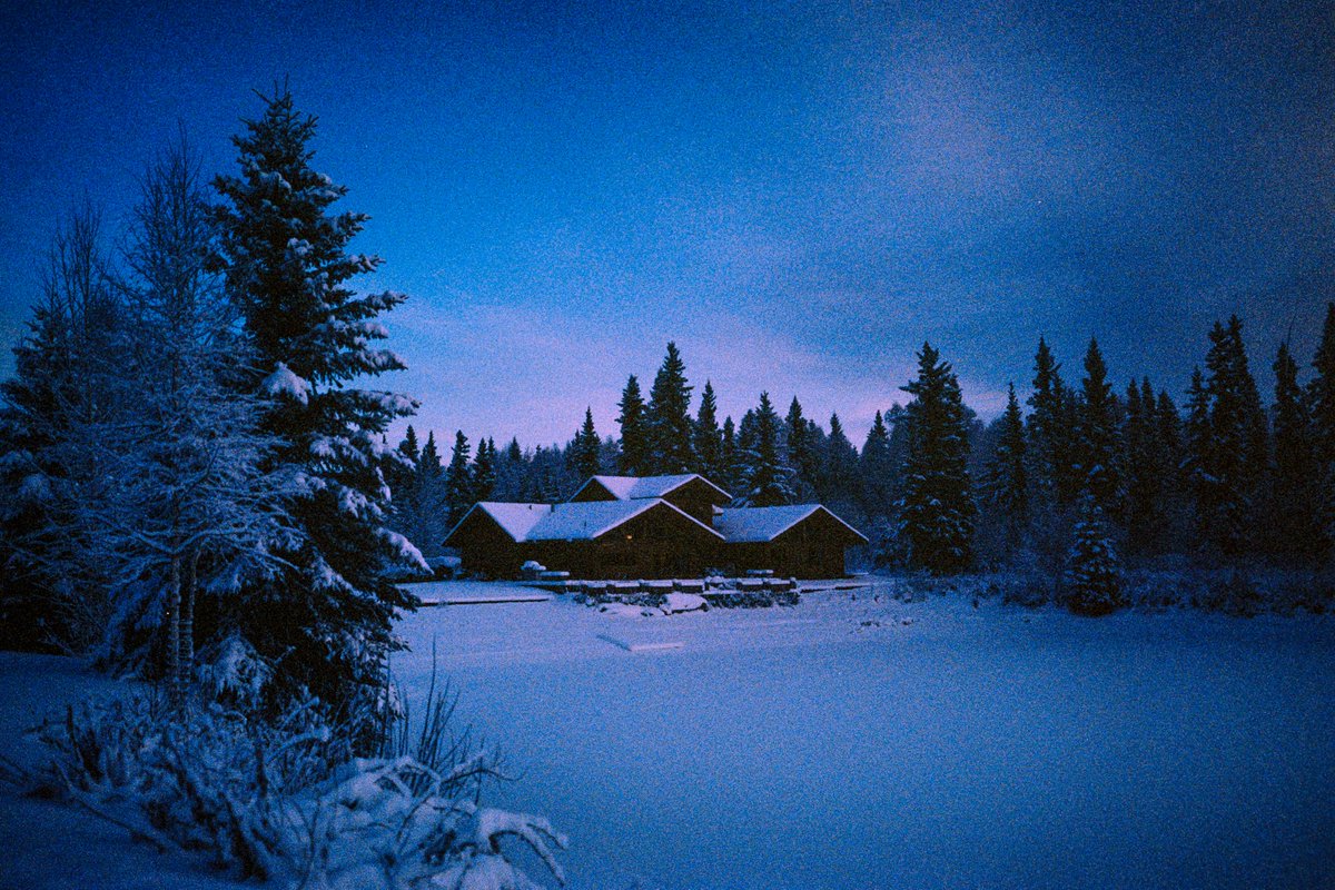 eamonsphotoss's tweet image. Winter in Alaska

captured on 35mm film
