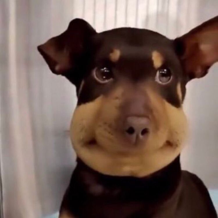 น้ำผึ้งแท้มั้ยครับ
แท้ครับลูกค้า