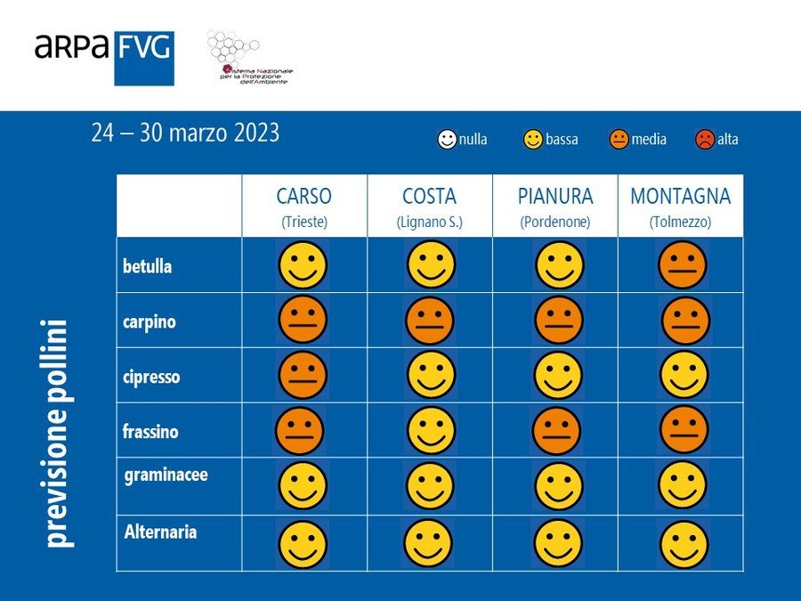 ARPAFVG's tweet photo. In #FVG molte piante in fiore: #betulla #cipresso #tasso #carpini #euforbie #pioppo #salice #frassino #platano #acero #bagolaro e #brussonezia.  Inizia la fioritura di #graminacee e #querce; si diffondono le spore fungine.
Previsioni👉https://t.co/IfDGc72ndW
#polliniFVG #pollnet https://t.co/FmPKysTSJa