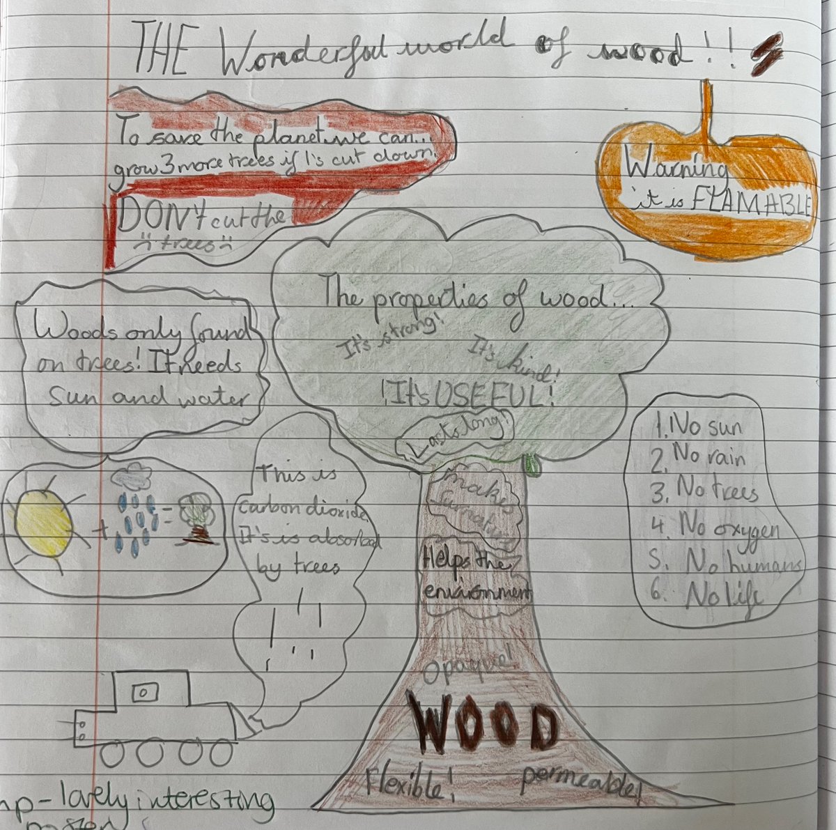 Whiteknights Primary tweet media