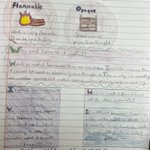 Photo by Whiteknights Primary (@WokinghamKnight)