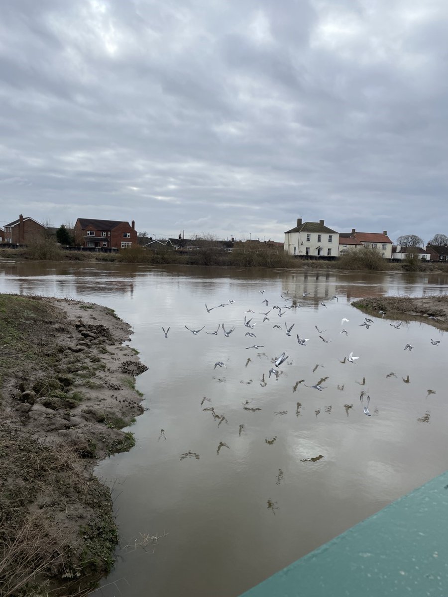 It's fieldwork Friday! 🌍 One of our master students, Amy Gilbert has just finished a fieldwork campaign on the River Trent. The project is looking at 'Determination of the Influence of Reactive Minerals on the Storage of Carbon in the River Trent'👏 #FieldworkFriday