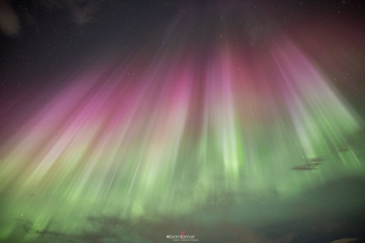 I just can’t ! These overhead Coronas were so beautiful!! Lots of dancing and screaming 😱 Must Sleep now! 💃🏻#Aurora #NorthernLights #AuroraBorealis #teamtanner @dartanner @TamithaSkov @NightLights_AM @chunder10 @scottrockphoto @jonokimber @saloplarus