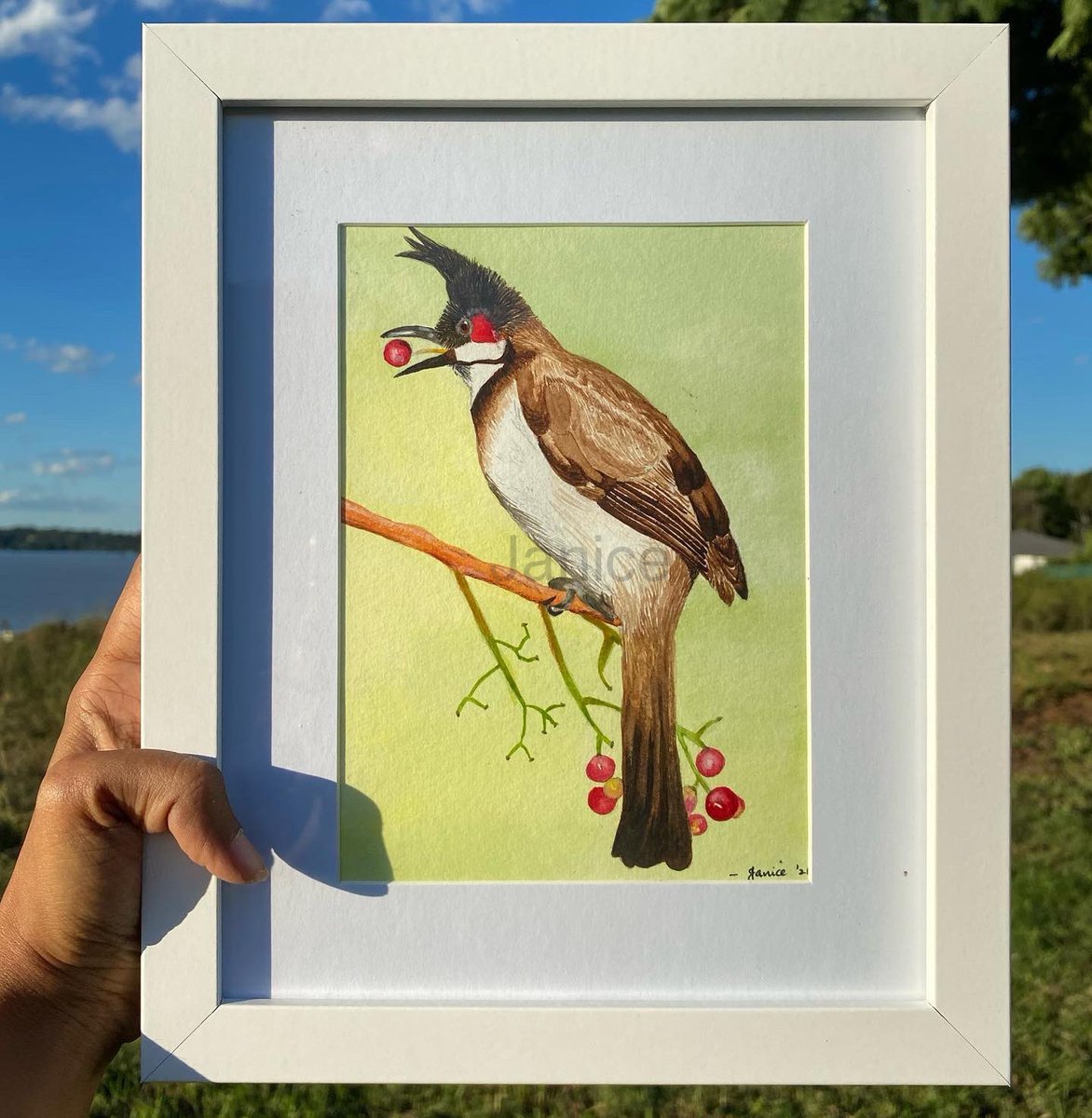Created this artwork for a friend who loves these melodious birds - Red whiskered bulbul 🍒

#wildlifeartist #birdart #bulbul #redwhiskeredbulbul #birds #birdlife #sciencecommunication #storytelling #wildlifeart